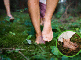 Are We Bio-Electrical Beings?